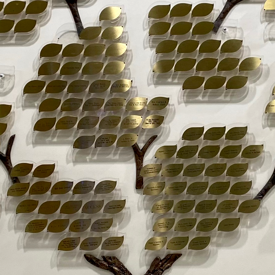 Engraved leaves on the WHFR family tree