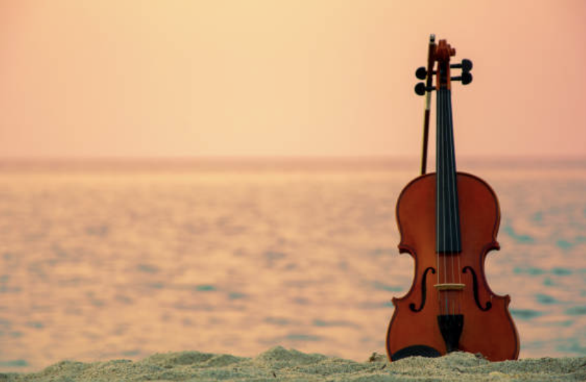 beach violin